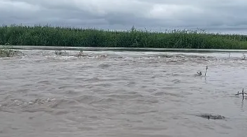 黑龙江省有10条河流超警戒水位