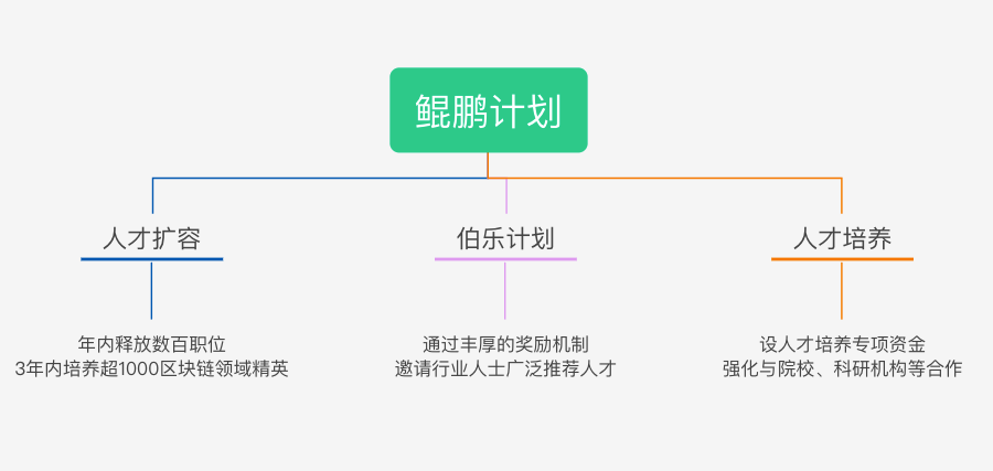 15项政策加码区块链人才建设，人才难题还需企业一起破 区块链 大学 人才建设 PANews